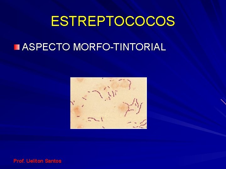 ESTREPTOCOCOS ASPECTO MORFO-TINTORIAL Prof. Ueliton Santos 