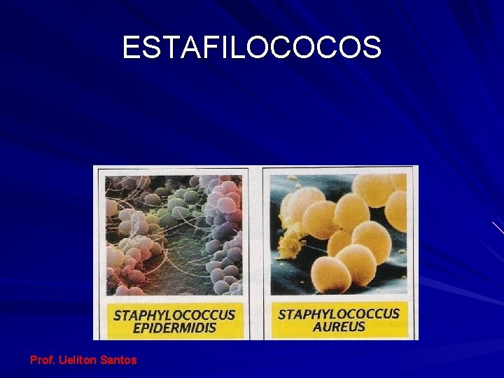 ESTAFILOCOCOS Prof. Ueliton Santos 