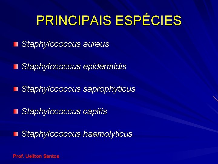PRINCIPAIS ESPÉCIES Staphylococcus aureus Staphylococcus epidermidis Staphylococcus saprophyticus Staphylococcus capitis Staphylococcus haemolyticus Prof. Ueliton