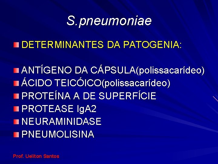 S. pneumoniae DETERMINANTES DA PATOGENIA: ANTÍGENO DA CÁPSULA(polissacarídeo) ÁCIDO TEICÓICO(polissacarídeo) PROTEÍNA A DE SUPERFÍCIE