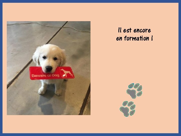 Il est encore en formation ! 