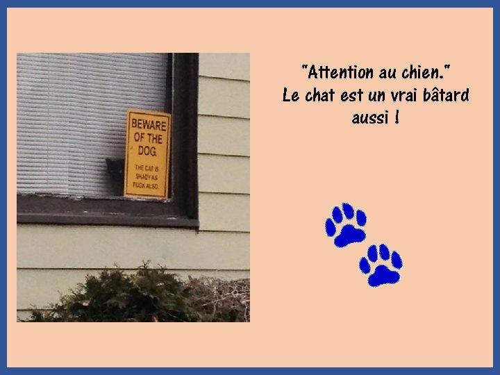 "Attention au chien. " Le chat est un vrai bâtard aussi ! 