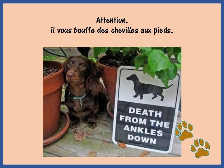 Attention, il vous bouffe des chevilles aux pieds. 