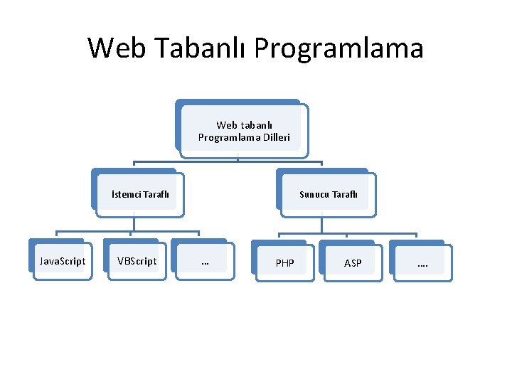 Web Tabanlı Programlama Web tabanlı Programlama Dilleri İstemci Taraflı Java. Script VBScript Sunucu Taraflı