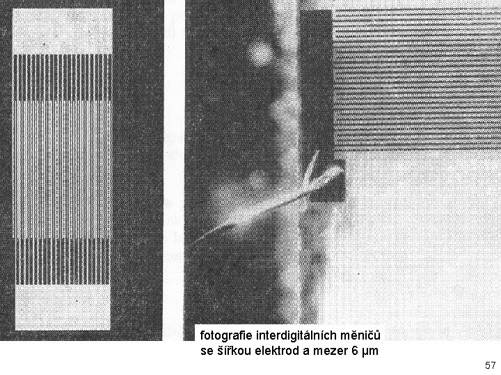 fotografie interdigitálních měničů se šířkou elektrod a mezer 6 μm 57 fotografie interdigitálních měničů se šířkou elektrod a mezer 6 μm 57
