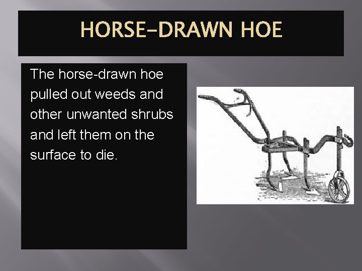 HORSE-DRAWN HOE The horse-drawn hoe pulled out weeds and other unwanted shrubs and left