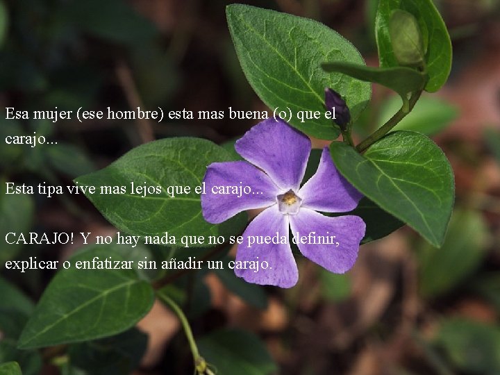 Esa mujer (ese hombre) esta mas buena (o) que el carajo. . . Esta