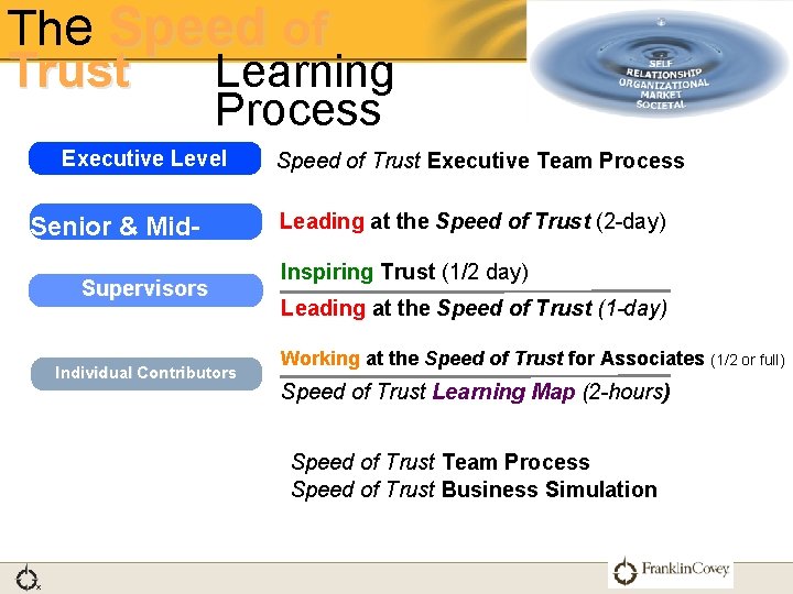 The Speed of Trust Learning Process Executive Level Senior & Mid. Managers Supervisors Individual