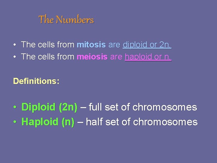 The Numbers • The cells from mitosis are diploid or 2 n. • The The Numbers • The cells from mitosis are diploid or 2 n. • The