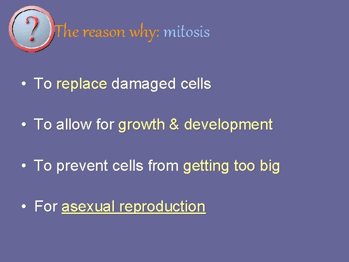 The reason why: mitosis • To replace damaged cells • To allow for growth The reason why: mitosis • To replace damaged cells • To allow for growth