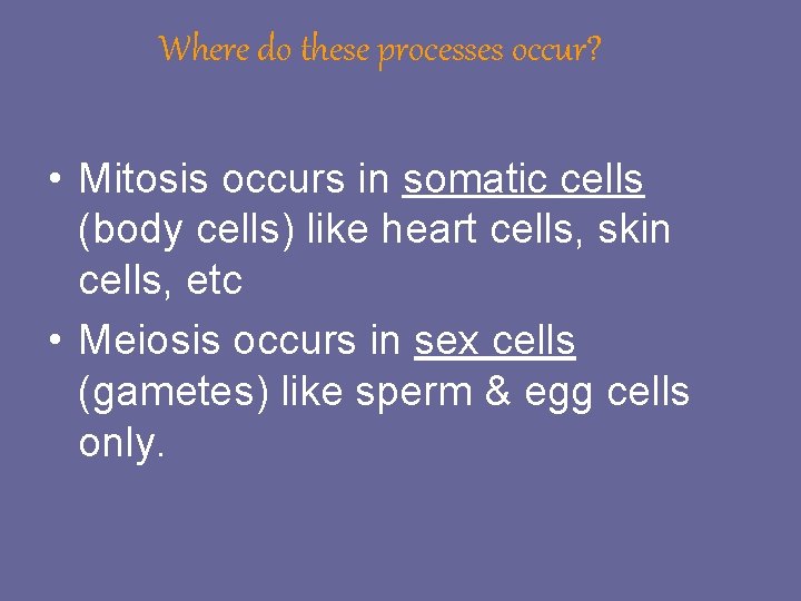 Where do these processes occur? • Mitosis occurs in somatic cells (body cells) like Where do these processes occur? • Mitosis occurs in somatic cells (body cells) like