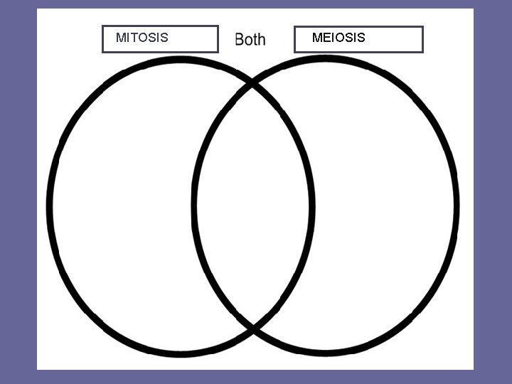 MITOSIS MEIOSIS MITOSIS MEIOSIS