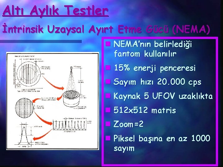 Altı Aylık Testler İntrinsik Uzaysal Ayırt Etme Gücü (NEMA) n NEMA’nın belirlediği fantom kullanılır