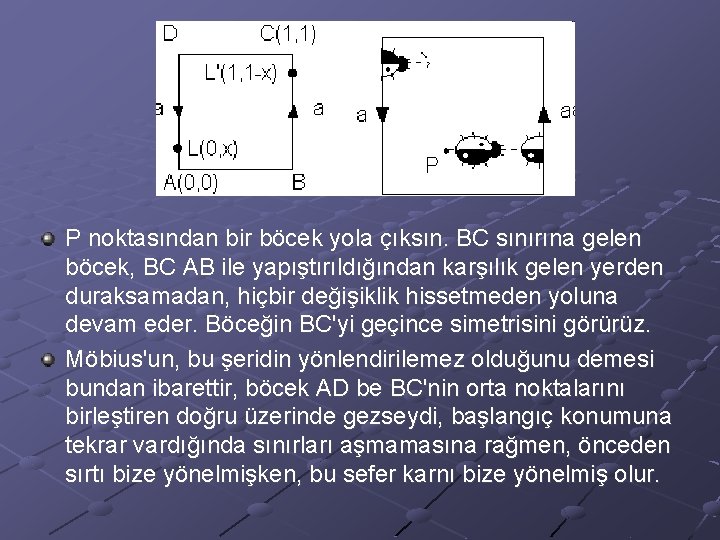 P noktasından bir böcek yola çıksın. BC sınırına gelen böcek, BC AB ile yapıştırıldığından