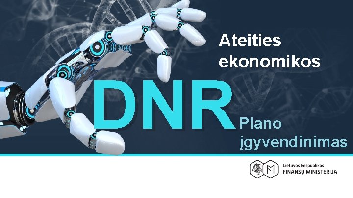 Ateities ekonomikos DNR Plano įgyvendinimas 