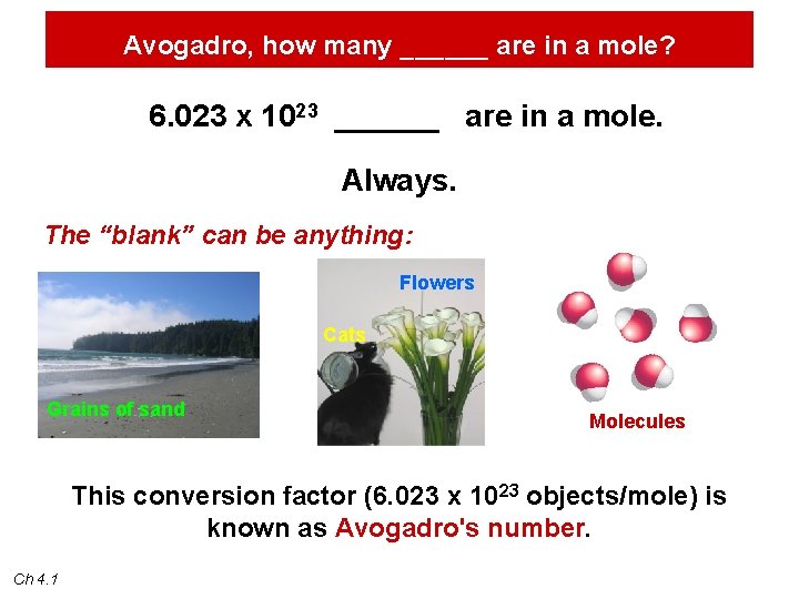 Avogadro, how many ______ are in a mole? 6. 023 x 1023 ______ are