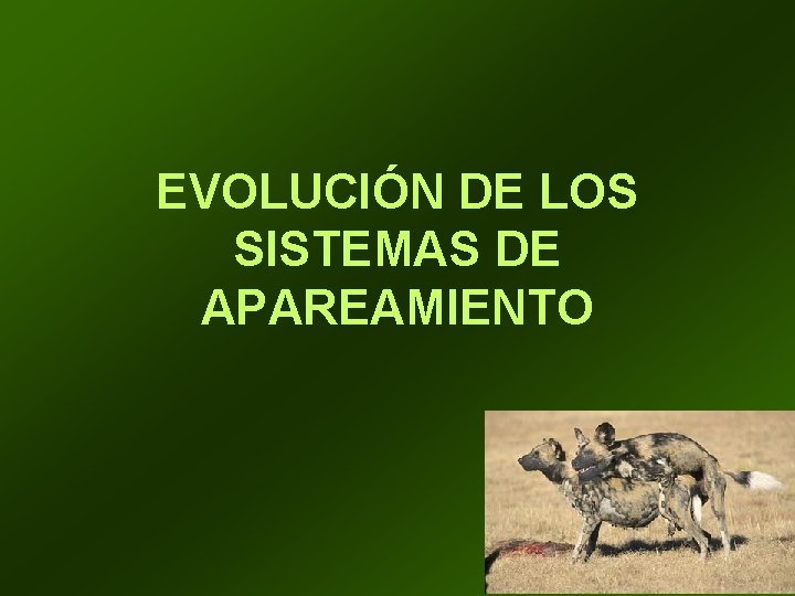 EVOLUCIÓN DE LOS SISTEMAS DE APAREAMIENTO 