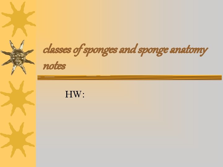 classes of sponges and sponge anatomy notes HW: 