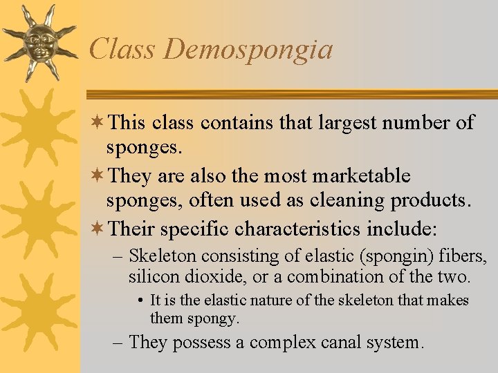 Class Demospongia ¬This class contains that largest number of sponges. ¬They are also the