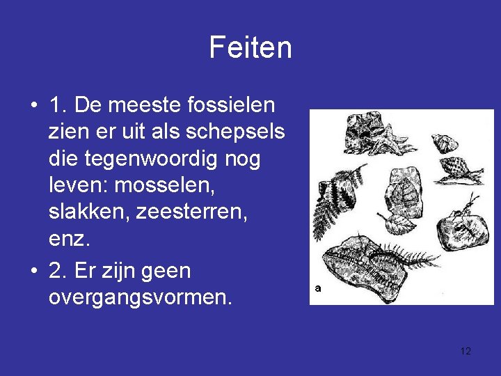 Feiten • 1. De meeste fossielen zien er uit als schepsels die tegenwoordig nog