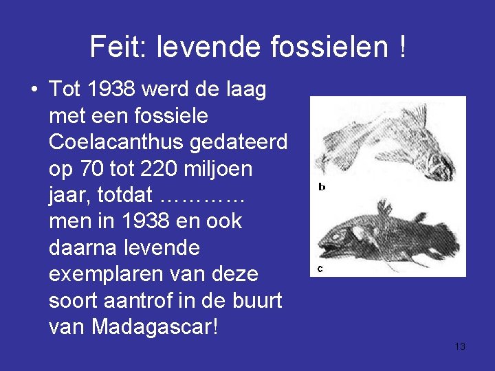 Feit: levende fossielen ! • Tot 1938 werd de laag met een fossiele Coelacanthus