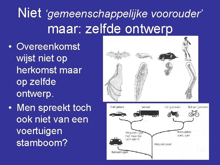 Niet ‘gemeenschappelijke voorouder’ maar: zelfde ontwerp • Overeenkomst wijst niet op herkomst maar op