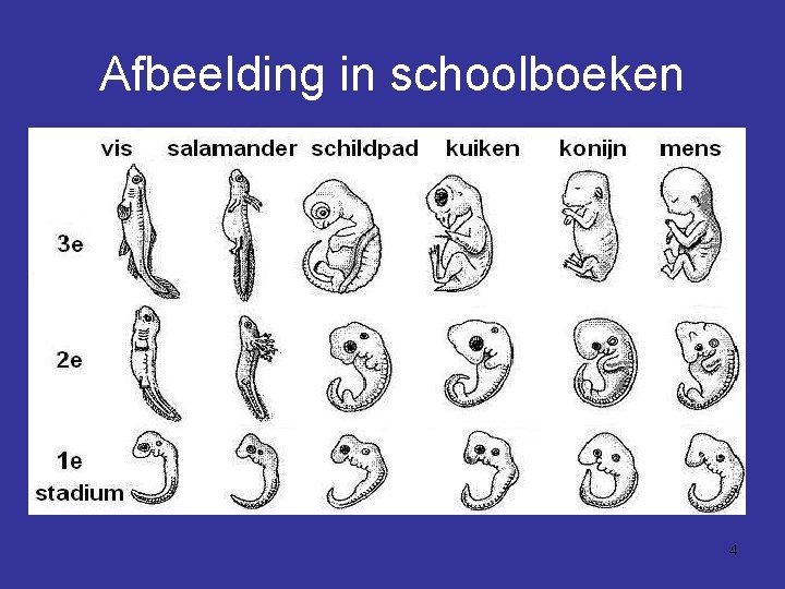 Afbeelding in schoolboeken 4 