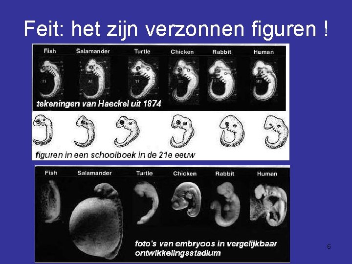 Feit: het zijn verzonnen figuren ! 6 