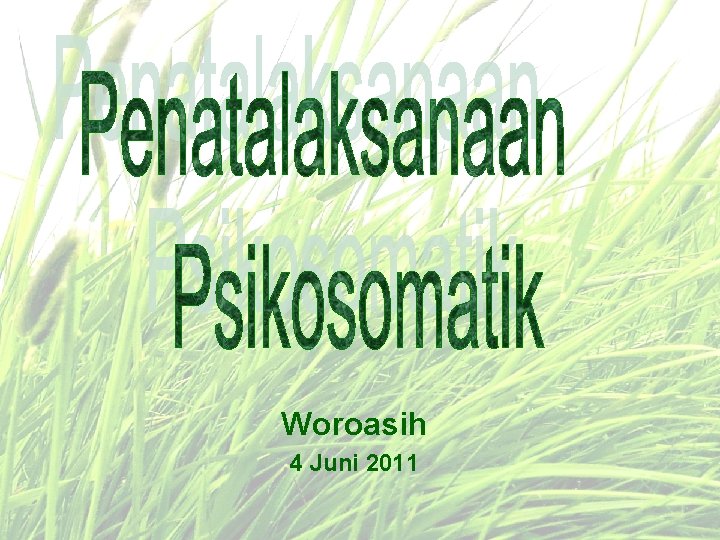 Woroasih 4 Juni 2011 