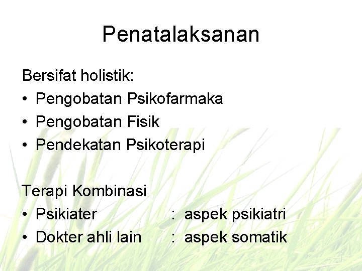 Penatalaksanan Bersifat holistik: • Pengobatan Psikofarmaka • Pengobatan Fisik • Pendekatan Psikoterapi Terapi Kombinasi