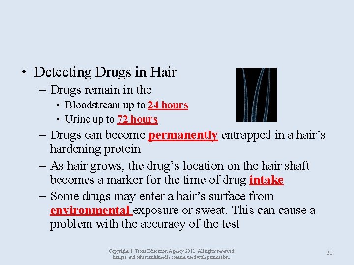  • Detecting Drugs in Hair – Drugs remain in the • Bloodstream up