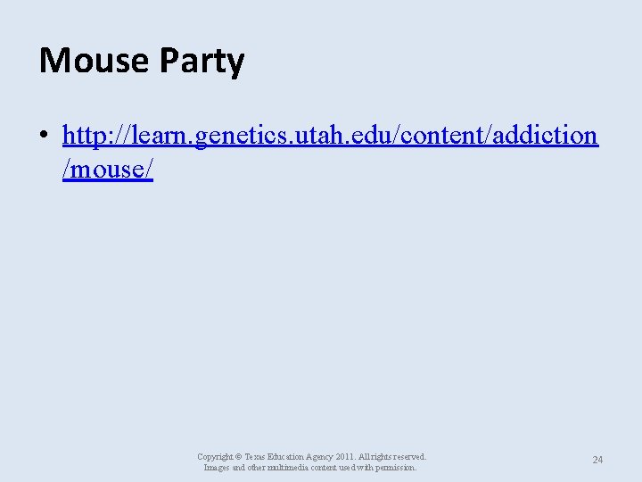 Mouse Party • http: //learn. genetics. utah. edu/content/addiction /mouse/ Copyright © Texas Education Agency