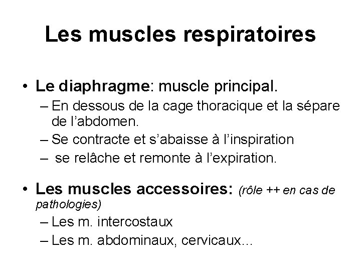 Les muscles respiratoires • Le diaphragme: muscle principal. – En dessous de la cage