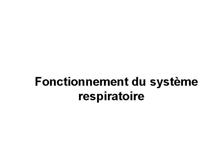 Fonctionnement du système respiratoire 