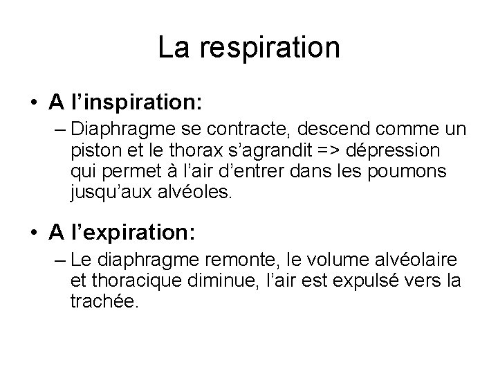 La respiration • A l’inspiration: – Diaphragme se contracte, descend comme un piston et