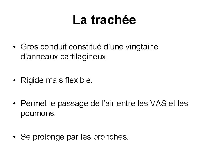 La trachée • Gros conduit constitué d’une vingtaine d’anneaux cartilagineux. • Rigide mais flexible.