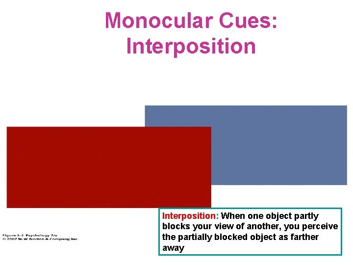 Monocular Cues: Interposition: When one object partly blocks your view of another, you perceive