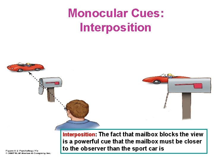 Monocular Cues: Interposition: The fact that mailbox blocks the view is a powerful cue