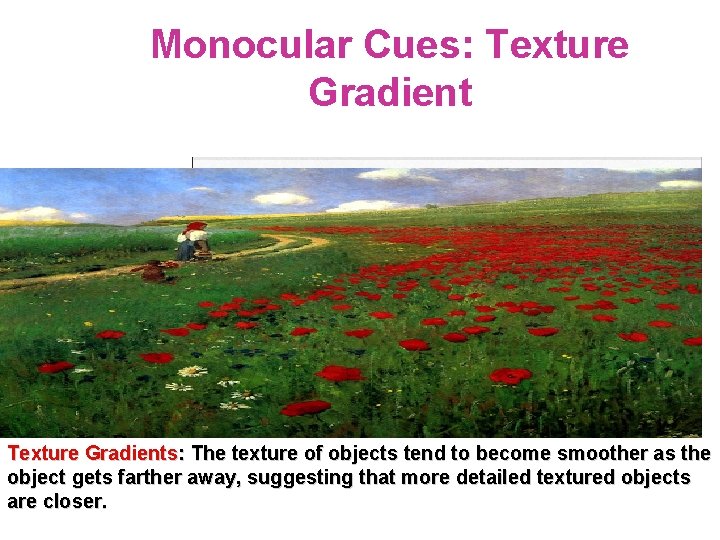 Monocular Cues: Texture Gradients: The texture of objects tend to become smoother as the