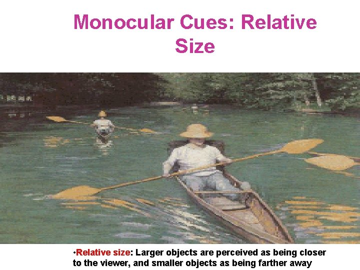 Monocular Cues: Relative Size • Relative size: Larger objects are perceived as being closer