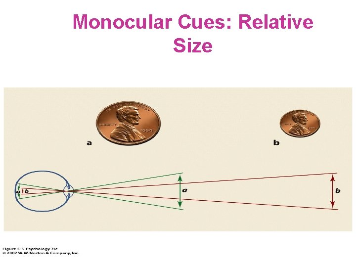 Monocular Cues: Relative Size 