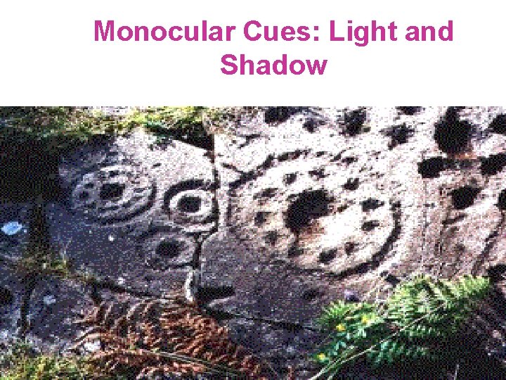 Monocular Cues: Light and Shadow 