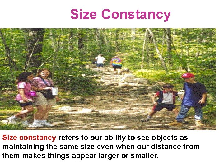 Size Constancy Size constancy refers to our ability to see objects as maintaining the