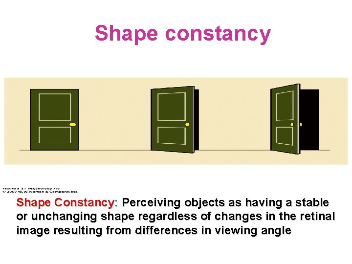 Shape constancy Shape Constancy: Perceiving objects as having a stable or unchanging shape regardless