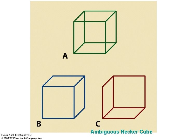 Ambiguous Necker Cube 