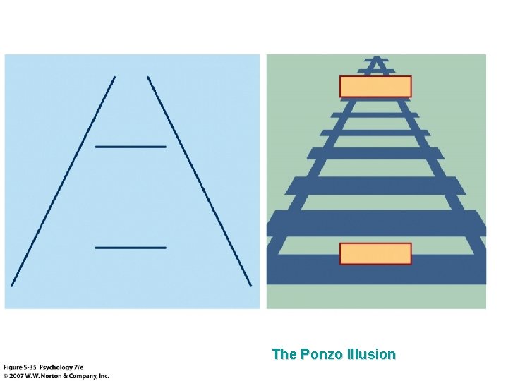 The Ponzo Illusion 