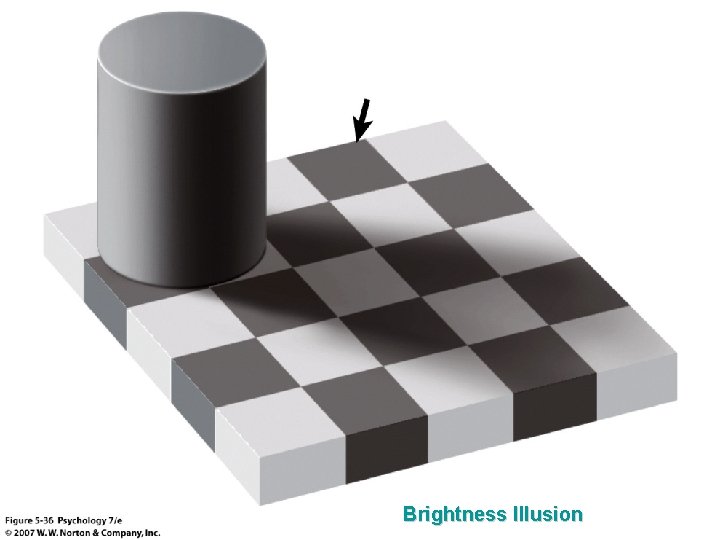 Brightness Illusion 