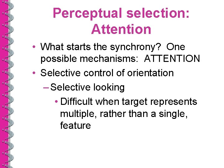 Perceptual selection: Attention • What starts the synchrony? One possible mechanisms: ATTENTION • Selective