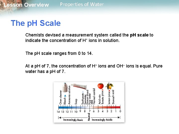 Lesson Overview Properties of Water The p. H Scale Chemists devised a measurement system