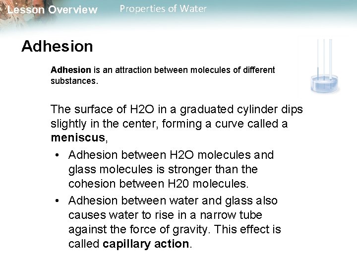 Lesson Overview Properties of Water Adhesion is an attraction between molecules of different substances.